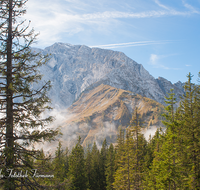 fileadmin/roha/images_galerie/orte_landschaft/Berchtesgaden/Rossfeld-Goell/BGD-ROSSF-GOELL-0006-D-roha-Berchtesgaden-Rossfeld-Goell-Nebel.png