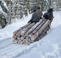 fileadmin/roha/images_galerie/Landwirtschaft/Forst-Holzknecht/HOLZKNE-HAM-PFERD-0015-1416-00536-D-roha-Holzknecht-Pferd-Winter-Siegsdorf-Hammer-Winterzug-Schlitten.png