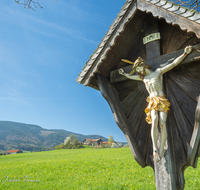 fileadmin/roha/images_galerie/kirche_religion/Teisendorf/Freidling-Berg-Stoisseralm/KKKM-TEIS-BERG-0019-08-D-roha-Weg-Kreuz-Teisendorf-Brunnmeister-Bank-Baum-Totenbretter.png