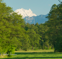 fileadmin/roha/images_galerie/orte_landschaft/Laufen/LANDS-LAUF-LEOB-0003-D-roha-Landschaft-Laufen-Leobendorf-Watzmann-Blumenwiese-Fruehjahr.png