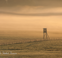 fileadmin/roha/images_galerie/stimmung-Sonne/STIM-SILL-0004-D-roha-Stimmung-Sonnenaufgang-Saaldorf-Sillersdorf-Jaegerstand-Nebel.png