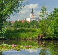 fileadmin/roha/images_galerie/orte_landschaft/Teisendorf/TEI-SUED-OST-0031-D-roha-Teisendorf-Sued-Ost-Weiher-Seerosen-Spiegelung-Kirche.png