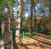 fileadmin/roha/images_galerie/orte_landschaft/Laufen/Osinger-Wald/LAUF-OSI-WA-0001-1043-D-roha-Laufen-Osinger-Wald-Lehrpfad-Schnitzerei.png