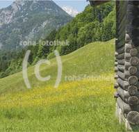 fileadmin/roha/images_galerie/orte_landschaft/Lofer-Kirchental-Wildenthal-Unken/LOFER-WILDENTH-0004-01-D-PS-roha-Lofer-Wildenthal-Landwirtschaft-Stadel-Blumenwiese.jpg