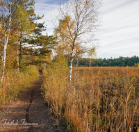 fileadmin/roha/images_galerie/wege/PE-SCHOENR-MOOR-0003-7-D-roha-Petting-Schoenramer-Moor-Weg-Herbst-Bank-Tafel.png