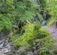 fileadmin/roha/images_galerie/Freizeit-Sport/Wandern/SCHNEILZL-WA-BA-WE-0007-D-roha-Schneizlreuth-Weissbach-Waldbahnweg-Wandern-Weg.png