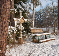 fileadmin/roha/images_galerie/orte_landschaft/Ainring/AINR-MOOR-WIN-0010-D-roha-Ainring-Moor-Winter-Schnee-Wegkreuz-Bank.png