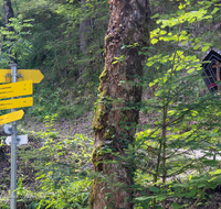 fileadmin/roha/images_galerie/orte_landschaft/Bayerisch-Gmain/BAY-GM-SPEIK-0009-1553-D-roha-Bayerisch-Gmain-Weissbach-Speik-Wanderweg-Schild-Wegkreuz.png