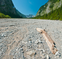 fileadmin/roha/images_galerie/orte_landschaft/Berchtesgaden/Wimbachklamm-Wimbachgries/BGD-WIMB-0025-D-roha-Berchtesgaden-Ramsau-Wimbachgries-Nationalpark-Palfenhorn-Totholz.png