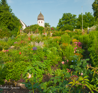 fileadmin/roha/images_galerie/orte_landschaft/Chiemsee/CHIE-FRAU-0004-13-D-roha-Chiemsee-Fraueninsel-Frauenwoerth-Kloster-Garten-Rosen.png