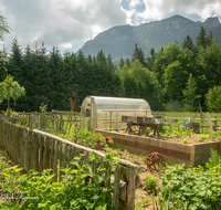 fileadmin/roha/images_galerie/Baum-natur-garten/Gemuese-Garten-Kraeuter-neu/LANDA-GART-ADLG-0003-D-roha-Landart-Garten-Gemuese-Adlgass-Inzell.png