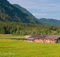 fileadmin/roha/images_galerie/orte_landschaft/Ruhpolding/RUH-LOED-0006-D-roha-Ruhpolding-Loedensee-Alm-Huette-Blumenwiese.png