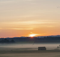 fileadmin/roha/images_galerie/Hintergrund-Download/2048x1152/SO-AU-HAARM-0015-04-D-roha-Sonne-Sonnenaufgang-Haarmoos-Nebel.jpg