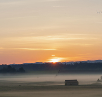 fileadmin/roha/images_galerie/Hintergrund-Download/2048x1152/SO-AU-HAARM-0015-04-D-roha-Sonne-Sonnenaufgang-Haarmoos-Nebel.jpg