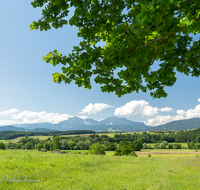 fileadmin/roha/images_galerie/orte_landschaft/Teisendorf/Weildorf/TEI-WEI-PAN-0012-03-D-roha-Teisendorf-Weildorf-Saaldorf-Schign-Hochstaufen-Zwiesel.png