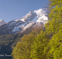 fileadmin/roha/images_galerie/orte_landschaft/Berchtesgaden/Watzmann/BGD-WATZ-0037-D-roha-Berchtesgaden-Ramsau-Gertsreit-Watzmann-Gipfel-Fruehling-Schnee-Buchen-Wald.png