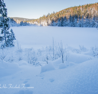 fileadmin/roha/images_galerie/orte_landschaft/Inzell/INZ-FRILL-WI-0005-D-roha-Inzell-Frillensee-Winter-Eis-Schnee.png