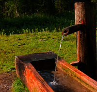 fileadmin/roha/images_galerie/Wasser-Brunnen/LANDA-BRUN-RUH-ROETH-0001-D-roha-Landart-Brunnen-Wasser-Ruhpolding-Roethelmoos.png