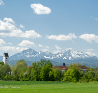 fileadmin/roha/images_galerie/orte_landschaft/Saaldorf/SAAL-SURH-0009-01-D-roha-Saaldorf-Surheim-Hochstaufen-Zwiesel.png