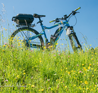 fileadmin/roha/images_galerie/Freizeit-Sport/E-Bike/SPO-E-BIKE-BL-WIES-0004-D-roha-Sport-E-Bike-Petting-Surspeicher-Blumenwiese.png