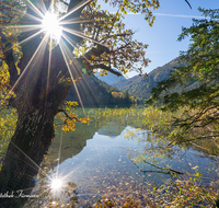 fileadmin/roha/images_galerie/stimmung-Sonne/BAD-REI-THUM-0101-01-D-roha-Bad-Reichenhall-Thumsee-Herbst-Sonne-Baum.png