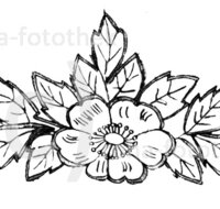 fileadmin/roha/images_galerie/Clipart/Blumenornament-001-F_Kopie.jpg