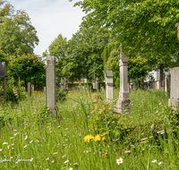 fileadmin/roha/images_galerie/orte_landschaft/Laufen/Klosterfriedhof/LAUF-KAPUZ-KI-0001-D-roha-Laufen-Kapuzinerkloster-Friedhof-Blumenwiese.png