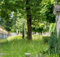 fileadmin/roha/images_galerie/orte_landschaft/Laufen/Klosterfriedhof/LAUF-KAPUZ-KI-0015-01-D-roha-Laufen-Kapuzinerkloster-Friedhof-Blumenwiese.png