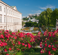 fileadmin/roha/images_galerie/orte_landschaft/Salzburg/Mirabell-Zwergerlgarten/SA-MIRA-GART-0001-5-D-roha-Salzburg-Schloss-Mirabell-Garten-Rosen-Festung-Hohensalzburg.png