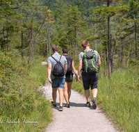 fileadmin/roha/images_galerie/Freizeit-Sport/Wandern/WAN-KOEN-EISB-0001-D-ADH-M-roha-Sport-Wandern-Koenigssee-Eisbach-Weg.png