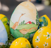 fileadmin/roha/images_galerie/brauchtum/Ostern/BR-OST-BRUN-EI-0017-D-roha-Brauchtum-Osterbrunnen-Bad-Reichenhall-Florianiplatz-Osterei-Straussenei-Frohe-Ostern.png