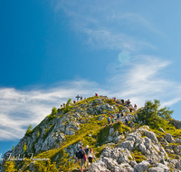 fileadmin/roha/images_galerie/orte_landschaft/Berchtesgaden/Jenner-Schoenau/BGD-JENN-WAN-0013-D-roha-Berchtesgaden-Jenner-Gipfel-wandern.png