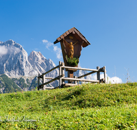 fileadmin/roha/images_galerie/orte_landschaft/Berchtesgaden/Nationalpark_Klausbachtal_Wimbachtal_-Klamm/BGD-NAT-BIND-0013-03-D-roha-Berchtesgaden-Nationalpark-Bindalm-Gipfel-Kreuz-Muehlsturzhoerner.png