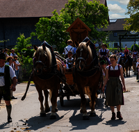 fileadmin/roha/images_galerie/brauchtum/Leonhardiritt/Holzhausen_01/Holzhausen-Ritt-2023/BR-PFRI-HOLZ-2023-1012-D-H-roha-Brauchtum-Leonhardiritt-Holzhausen-Teisendorf..png