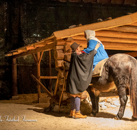 fileadmin/roha/images_galerie/orte_landschaft/Bad_Reichenhall_-_Stallweihnacht/BR-WEIH-STALL-2019-2043-03-D-roha-Brauchtum-Weihnachten-Krippe-Stall-Weihnacht-Bad-Reichenhall.png