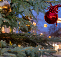 fileadmin/roha/images_galerie/orte_landschaft/Freilassing/FREIL-FUSSG-WEIH-0020-1644-D-roha-Freilassing-Fussgaengerzone-Christkindlmarkt-Weihnachten.png