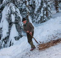 fileadmin/roha/images_galerie/Landwirtschaft/Forst-Holzknecht/HOLZKNE-HAM-0015-1214-01-D-roha-Holzknecht-Winter-Siegsdorf-Hammer-Winterzug.png