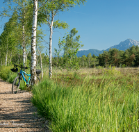 fileadmin/roha/images_galerie/Freizeit-Sport/E-Bike/SPO-E-BIKE-PET-SCH-MOR-0031-D-roha-Sport-E-Bike-Petting-Schoenramer-Moor-Weg-Hochstaufen.png