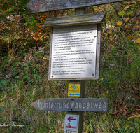 fileadmin/roha/images_galerie/orte_landschaft/Bad_Reichenhall/BAD-REI-SALZSAEUM-0005-D-roha-Bad-Reichenhall-Jochberg-Weg-Salz-Saeumer.png