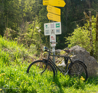 fileadmin/roha/images_galerie/Freizeit-Sport/Mountainbike-Radfahren/BGD-BISCH-HALLTH-0011-D-roha-Berchtesgaden-Bischofwiesen-Hallthurm-Wegweiser-Radl.png