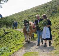 fileadmin/roha/images_galerie/brauchtum/Almabtrieb/Almabtrieb-Stoisser-Alm/BR-ALMAB-STOISS-2016-1431-01-D-roha-Brauchtum-Almabtrieb-Fuikl-Stoisser-Alm-Teisendorf-Anger-Sennerin-Kuh.png