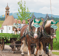 fileadmin/roha/images_galerie/brauchtum/Leonhardiritt/Holzhausen_01/BR-PFRI-HOLZ-2015-0067-1025-02-D-roha-Brauchtum-Pferdeumritt-Holzhausen-Teisendorf-Leonhardiritt-Gespann.png