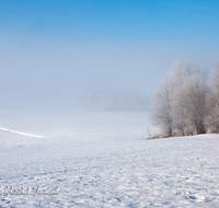 fileadmin/roha/images_galerie/orte_landschaft/Haarmoos/HAARM-WI-0041-D-roha-Laufen-Saaldorf-Haarmoos-Winter-Stadel-Schnee-Nebel.png