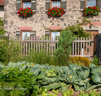 fileadmin/roha/images_galerie/Baum-natur-garten/Gemuese-Garten-Kraeuter-neu/HAEU-BAU-0002-7-D-roha-Bauernhaus-Teisendorf-Blumenschmuck-Garten-Gemuese-Kraut.png