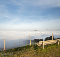 fileadmin/roha/images_galerie/orte_landschaft/Anger/Anger/Anger-Stimmung/LANDA-BANK-ANG-FUERM-0001-D-roha-Landart-Bank-Fuermannalm-Anger-Nebel.png