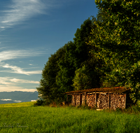 fileadmin/roha/images_galerie/orte_landschaft/Saaldorf/LANDS-SAAL-SILL-0001-1-D-roha-Landschaft-Saaldorf-Sillersdorf-Brennholz.png