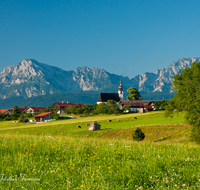 fileadmin/roha/images_galerie/orte_landschaft/Teisendorf/TEI-WI-0012-D-roha-Teisendorf-Wimmern-Oed-Hochstaufen-Zwiesel-Landwirtschaft.png