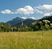 fileadmin/roha/images_galerie/orte_landschaft/Anger/Hoeglwoerth/AN-HOE-0020-40-D-roha-Anger-Hoeglwoerth-Hochstaufen.png