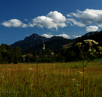 fileadmin/roha/images_galerie/orte_landschaft/Anger/Hoeglwoerth/AN-HOE-0020-40-D-roha-Anger-Hoeglwoerth-Hochstaufen.png