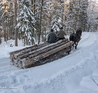 fileadmin/roha/images_galerie/Landwirtschaft/Forst-Holzknecht/HOLZKNE-HAM-PFERD-0015-1416-00531-D-roha-Holzknecht-Pferd-Schlitten-Winter-Siegsdorf-Hammer-Winterzug.png